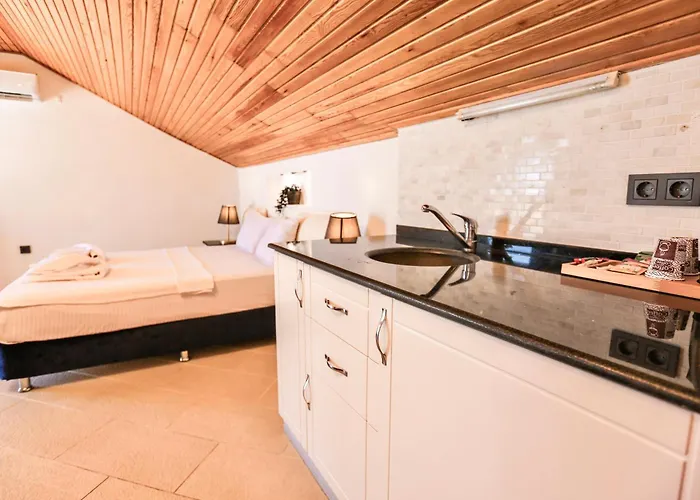 Отель Tropical Deluxe