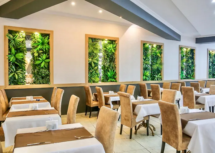 Отель Tropical Deluxe 4*