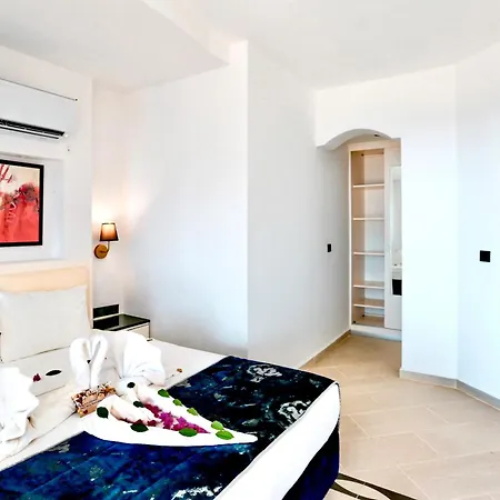 Tropical Deluxe فتحية