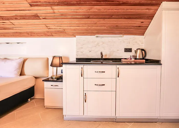 Hotel Tropical Deluxe