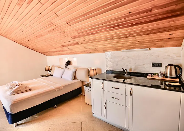 호텔 Tropical Deluxe 페티예